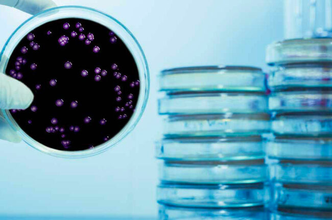 Legionella Prevention Legionella Prevention