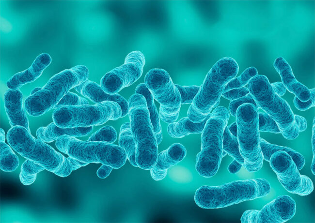 Thermal Disinfection for Legionella Prevention